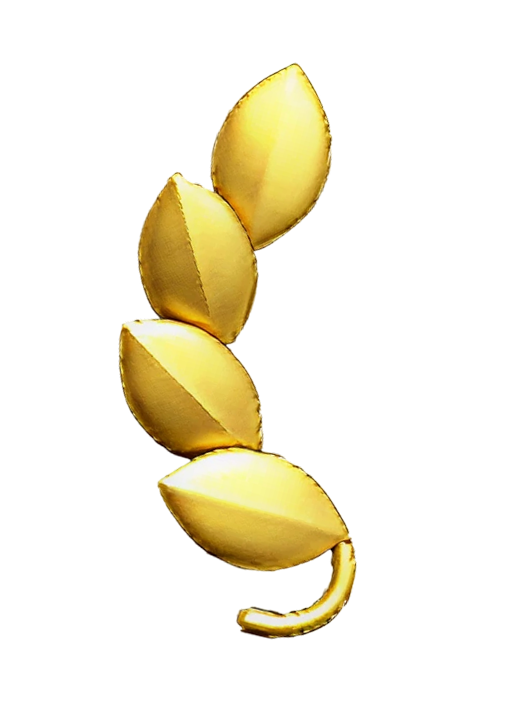 offer-icon